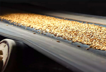 bandas-transportadoras-granos