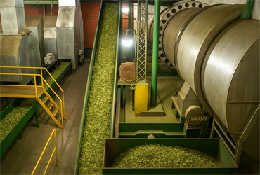 bandas-transportadoras-secaderos